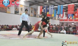 散打直播间爆料视频大全,精彩瞬间大盘点